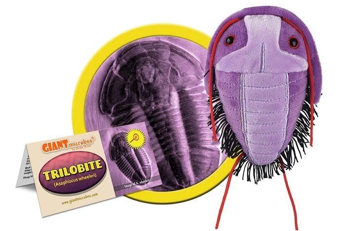 GIANT MICROBES Trilobite Plush Toy - Fuzzy Fossils, 6"x5"x3", Educational Gift for Nature Lovers and Dinosaur Fans
