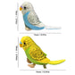 WQY GroceryShop Budgerigar Plush Toy, 5.5" Soft Cotton Parakeet, Blue and Green, Small Stuffed Animal for Kids