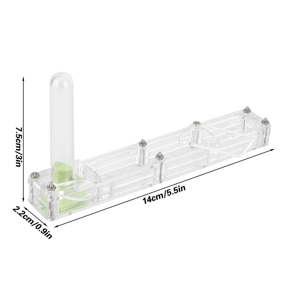 A Sixx Ant Breeding Box, Acrylic Ant Breeding Nest Ant Farm House Ant Display Box With Water Tower, Moisturizing, With 1Pcs Drop