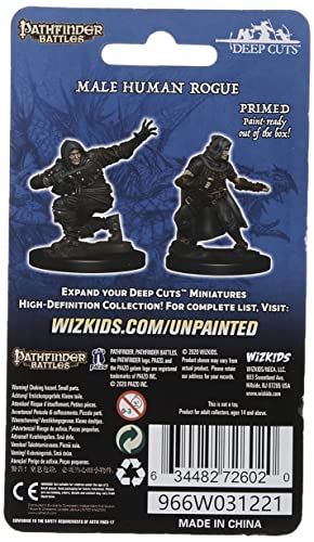 Neca Pathfinder Deep Cuts Unpainted Miniatures: Wave 1: Human Male Rogue