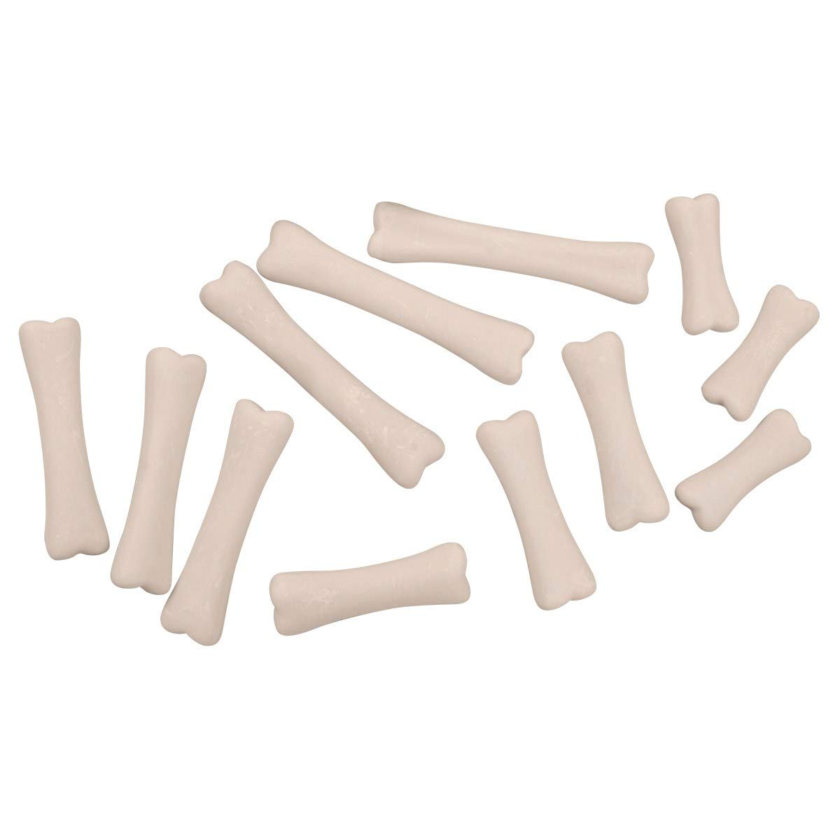 Yellow Door YUS1038 Dinosaur Bones Discovery Set (Pack of 12)