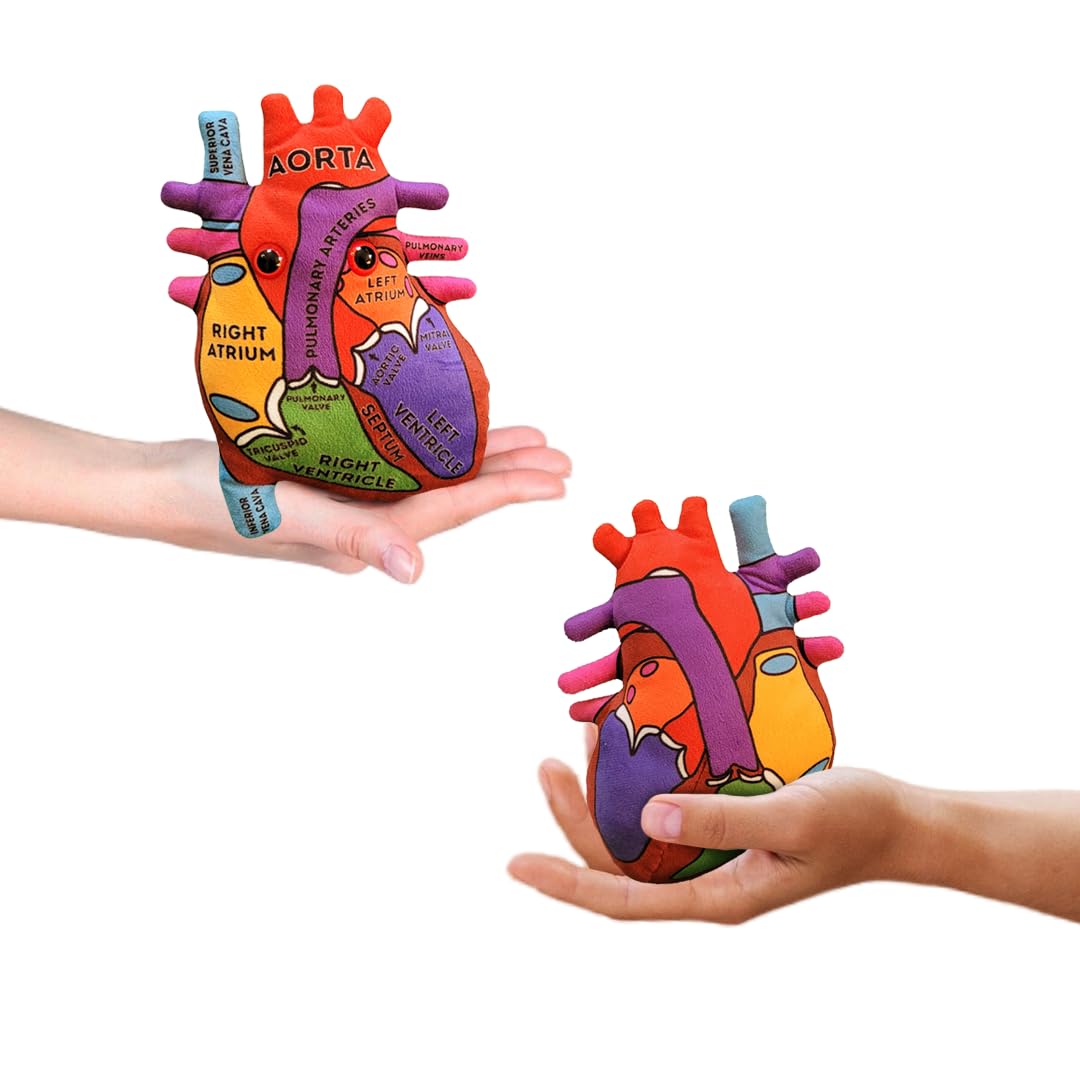 Giantmicrobes Anatomical Heart Plush, Human Heart Model, Heart Anatomy Model, Real Heart Plush, 3D Heart Model Anatomy, Open Heart Surgery Gifts, Heart Transplant Gifts, Heart Attack Survivor Gifts