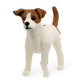 Schleich 13916 - Jack Russell Terrier