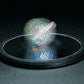 Toysmith Euler’s Disk - Hypnotic Light & Sound Science Toy for Home & Office - Physics Desk Decor for Kids & Adults 8+ - Multi-colored