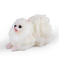 Mini Dog Taba Squishy Kit - Cute Pomeranian Squeeze Toy for Kids (White)