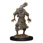 D&D Nolzur'S Marvelous Miniatures: Scarecrow & Stone Cursed