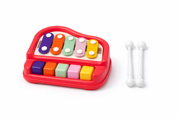 Defend Design 2 in 1 Musical Xylophone Piano Toy for Kids, Colorful Bars with Easy Press Keys, Learning Instrument Toy for Toddl