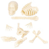 Accoutrements Itty Bitty Bones Glow In The Dark 10 Piece Set - Miniature Bones For Tiny Halloween Displays - Random Soft Vinyl B