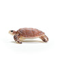 Schleich Wild Life New 2024 Wild Animal Toy Hawskbill Sea Turtle Ocean Animal Figurine