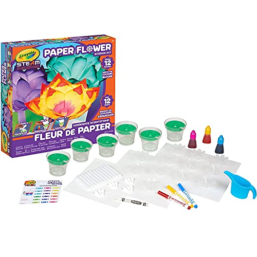 PAPER FLOWER SCIENCE KIT