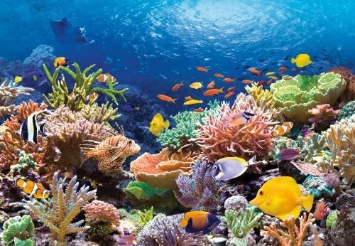 Castorland 'Coral Reef Fishes Puzzle (1000 Piece)