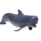 Safari Pilot Whale