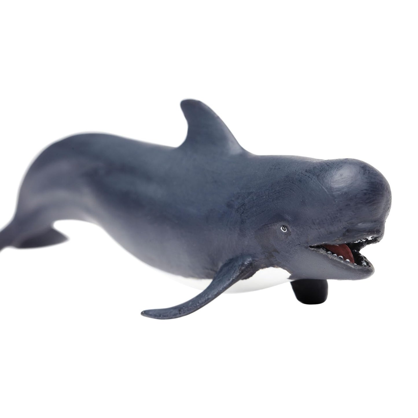 Safari Pilot Whale