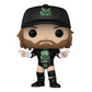 Wwe: Triple H (Degeneration X) - Vinyl Figure