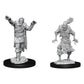 D&D Nolzur'S Marvelous Miniatures: Scarecrow & Stone Cursed