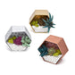 Craft Crush - Mini Plants Terrariums Easy Fun Arts and Craft Kit - Make 3 Charming Faux Terrariums! - For Ages 13 and Up