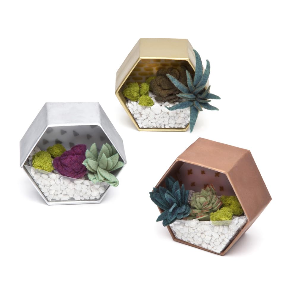 Craft Crush - Mini Plants Terrariums Easy Fun Arts and Craft Kit - Make 3 Charming Faux Terrariums! - For Ages 13 and Up