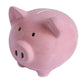 Pink Piggy Banks  Piggy Bank for Girls Boys Kids A New Piggy Bank for Boys Girls Kids mature-themed Coin Bank (Pink)