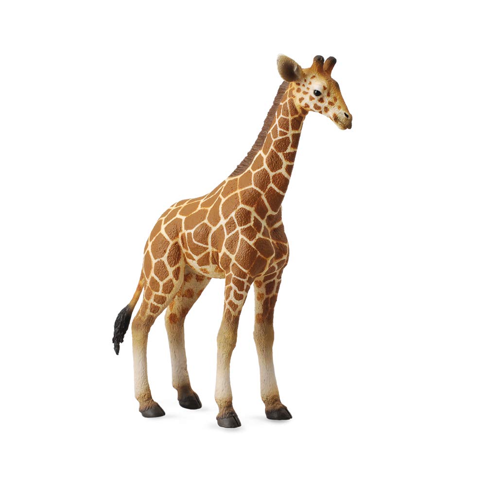 Collecta Wildlife Reticulated Giraffe Calf Toy Figure - Authentic Hand Painted Model