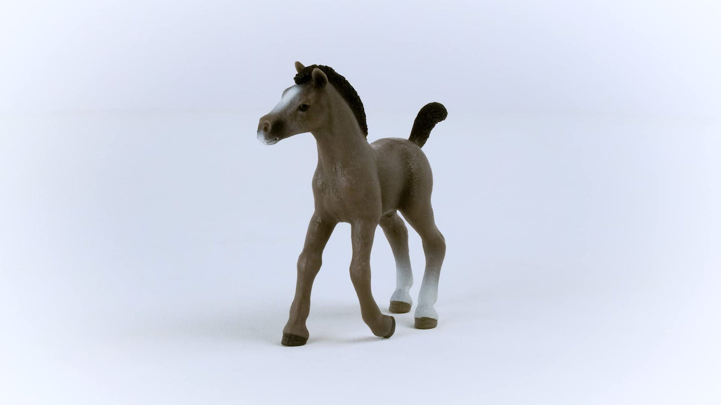 Schleich Horse Club Realistic Cheval De Selle Francais Foal Horse Figurine - Detailed Horse Toy, Durable For Education And Imaginative Play For Girls And Boys, Gift For Kids Ages 5+