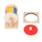 Montessori Baby Toys Play Kit - Montessori Mirror, Peekaboo, Knob Puzzle, Medium Spinning Drum - For 6-12 Months Toddlers
