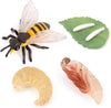 Hvogvok Bee Growth Cycle Set, Lifelike Animal Figures, Educational Kids Toy, 4-Piece Insect Model Kit For Parties