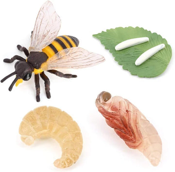 Hvogvok Bee Growth Cycle Set, Lifelike Animal Figures, Educational Kids Toy, 4-Piece Insect Model Kit For Parties