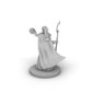 Female Elf Druid 2 Tabletop Dnd Gaming Miniature