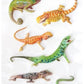Playhouse Soft Puffy 9-piece Sticker Sheet Sheet for Crafts, Trading & Collecting - Leapin Lizards 1 Pack