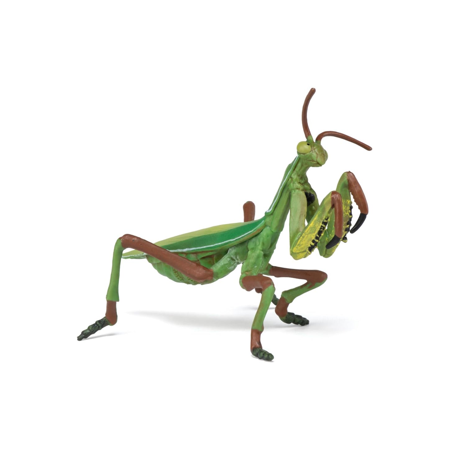 Papo -Hand-Painted - Figurine -Wild Animal Kingdom - Praying Mantis -50244 -Collectible - For Children - Suitable For Boys And G