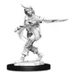 Pathfinder Deep Cuts: Human Rogue Female