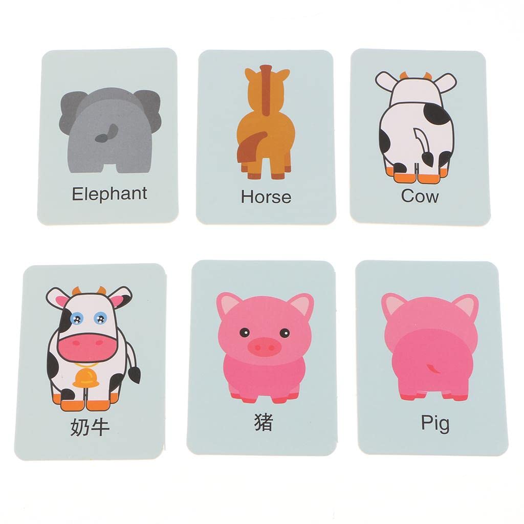 Jazzy Pearls 32 Pieces Preschool Educational Flash Cards For Kids Animals|Toys & Hobbies | Educational | Other Educational Toys|