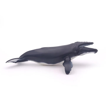 Papo - Hand-Painted - Figurine - Marine Life - Humpback Whale Figure-56001 - Collectible - For Children - Suitable For Boys And Girls - From 3 Years Old