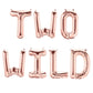 Safari Two Wild Birthday Party Decorations, Rose Gold Two Wild Balloons Banner For Boy Or Girl Jungle Safari 2Nd Birthday Party