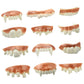 Marrywindix 12 Pieces Gnarly Teeth Gag Teeth Ugly Fake Teeth Vampire Denture Teeth For Halloween Costume Party Favors Photos Props (12 Styles)