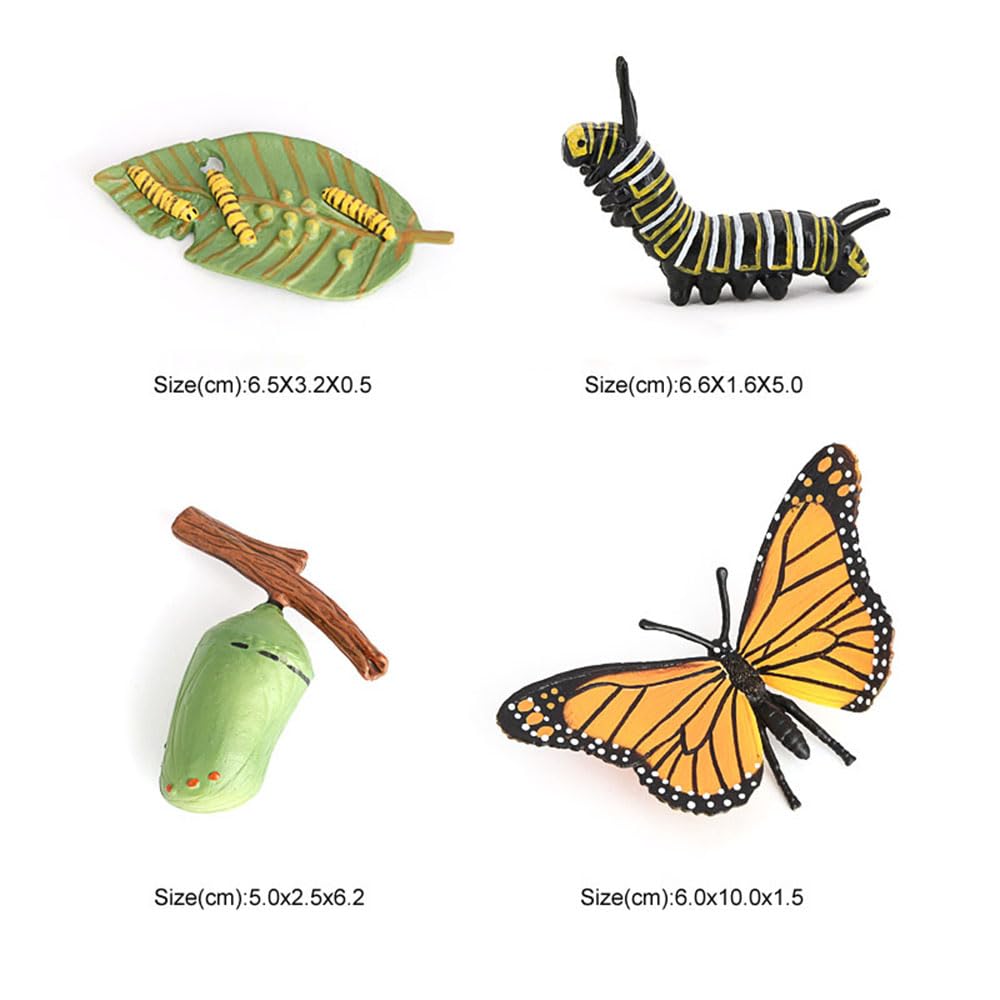 Butterfly Growth Cycle, Animal Growth Cycle Biological Model, Growth Stage Lifelike Butterfly Life Cycle Model Set For Kids Educ