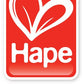 Award Winning Hape Choo Choo Tracks Kid'S Magnetic Wooden Maze Puzzle, L: 7.7, W: 0.8, H: 6.1 Inch