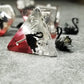 Sage's Portal Animal Familiars Resin DND Dice Set Polyhedral Dice Set for Dungeons and Dragons RPG Pathfinder Tabletop TTRPG (Bl