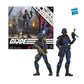 G.I. Joe Cobra Valkyries Action Figures, Deluxe Pack of 2, 6 inch, Multicolor, F66795L0, 25 Accessories
