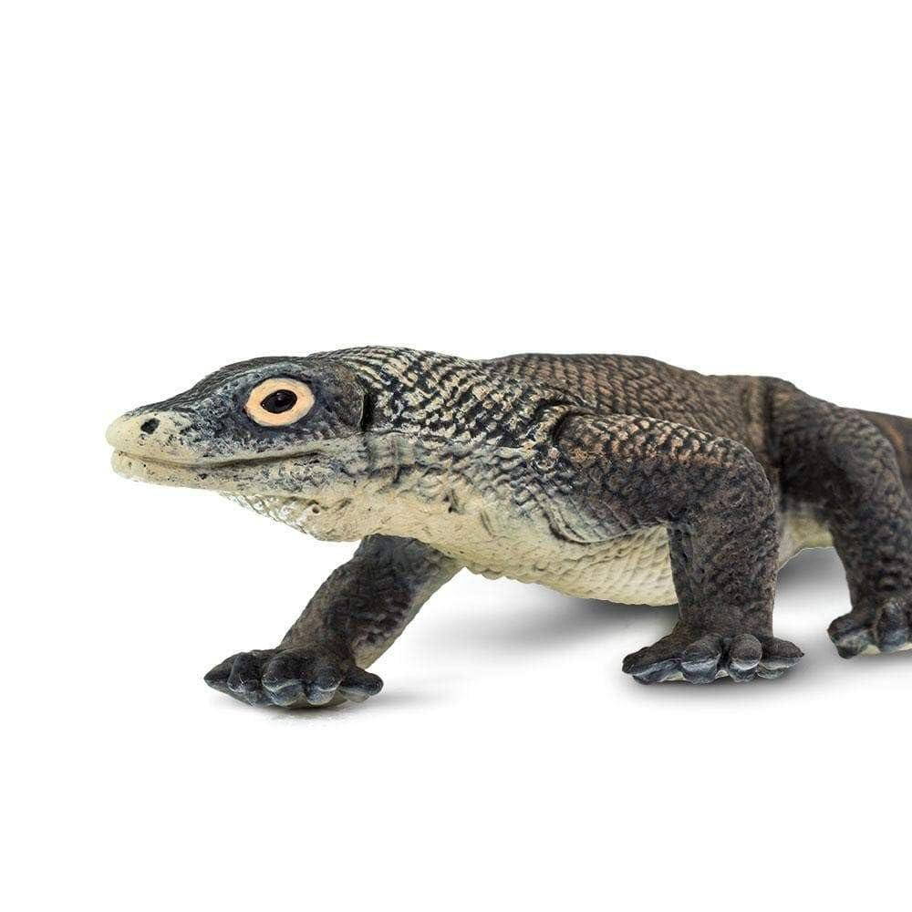 Safari - Komodo Dragon Animals, Multicoloured (S100263)