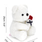 Hwd 9.8'' Teddy Bear With Rose, Soft Plush Doll Stuffed Animals Toys, Gifts For Her/Girlfriend Lover Mom Kids Toddlers (White)