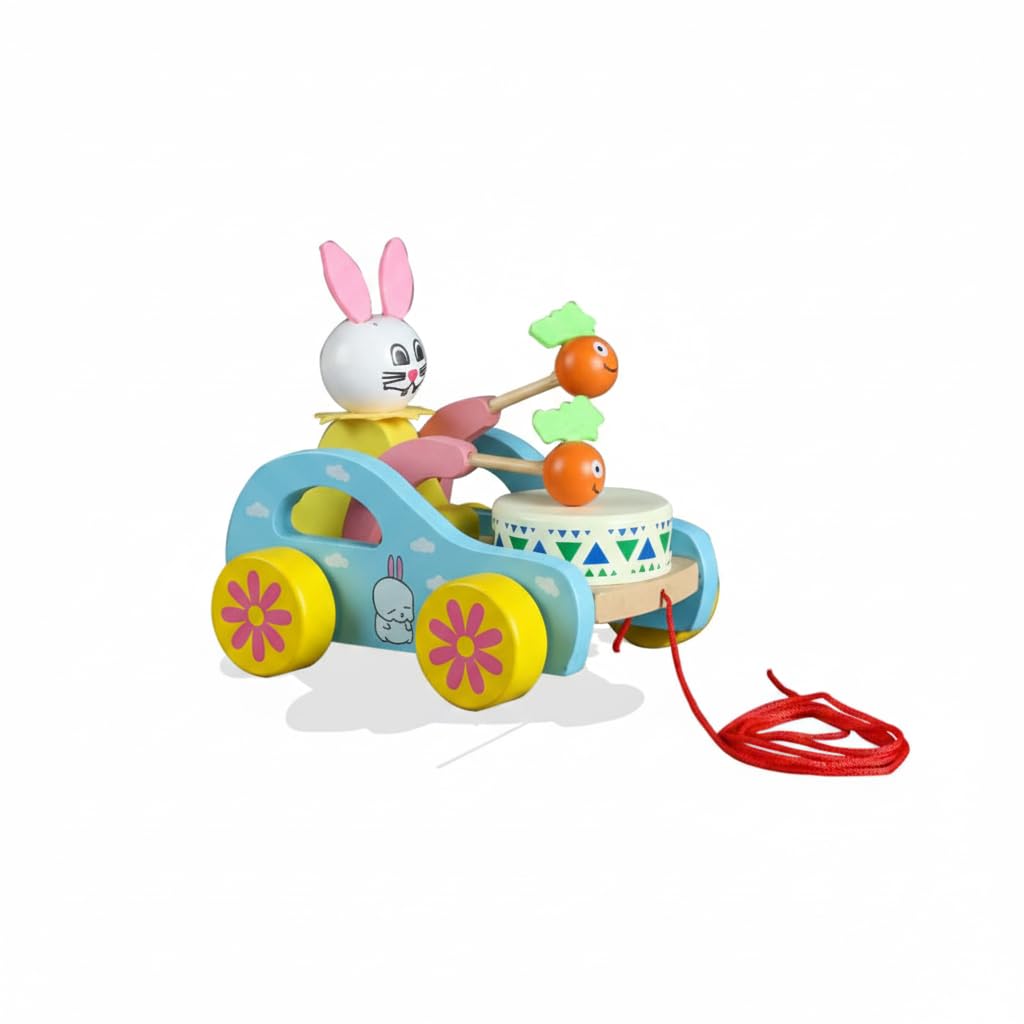 BrainyTots Pull Along Rider for Babies 6+ Months | Activity & Learning Toy to Encourage Walking, Improve Balance & Motor Skills 