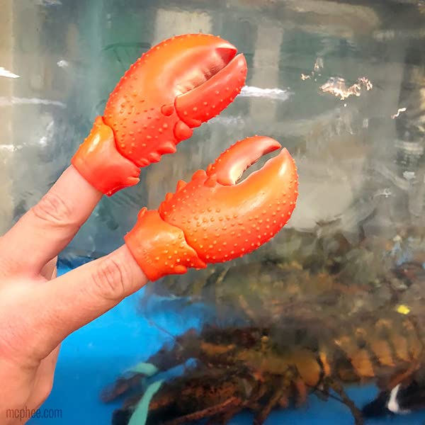 Mcphee Archie Finger Lobster Claws Pack of 2