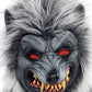 Amscan Boys Hungry Howler Costume Set - XLarge (14-16), 1 Set - Haunting Party Wear Perfect for Halloween and Themed Party Fun