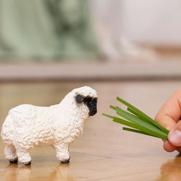 Schleich Farm World New 2023, Realistic Farm Animal Toys For Kids, Valais Black-Nosed Sheep Toy, Ages 3+