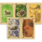 CATAN The Struggle Card Game | Strategy Card Game for 2-4 Players | Ages 10+ | Orange | Small | Model CN3142