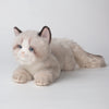 CU-MATE Gray Ragdoll Cat Stuffed Animal Toy, Medium Plush Doll, Handmade Birthday Gift for Boys and Girls