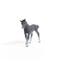 Schleich Horse Club, Realistic Horse Toys For Girls And Boys, Baby Trakehner Foal Toy Figurine, Ages 5+