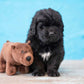 Spunky Pup Clean Earth Plush Bear | Made From 100% Recycled Water Bottles | Small,Brown,7262