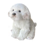 FAONIE 14 Inch Maltese Stuffed Animal - Realistic White Plush Dog Toy, Fluffy Companion Pet